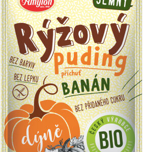 Amylon Bio Rýžový puding s dýní a příchutí banánu 40g