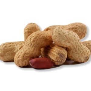 Buráky JUMBO neloupané pražené