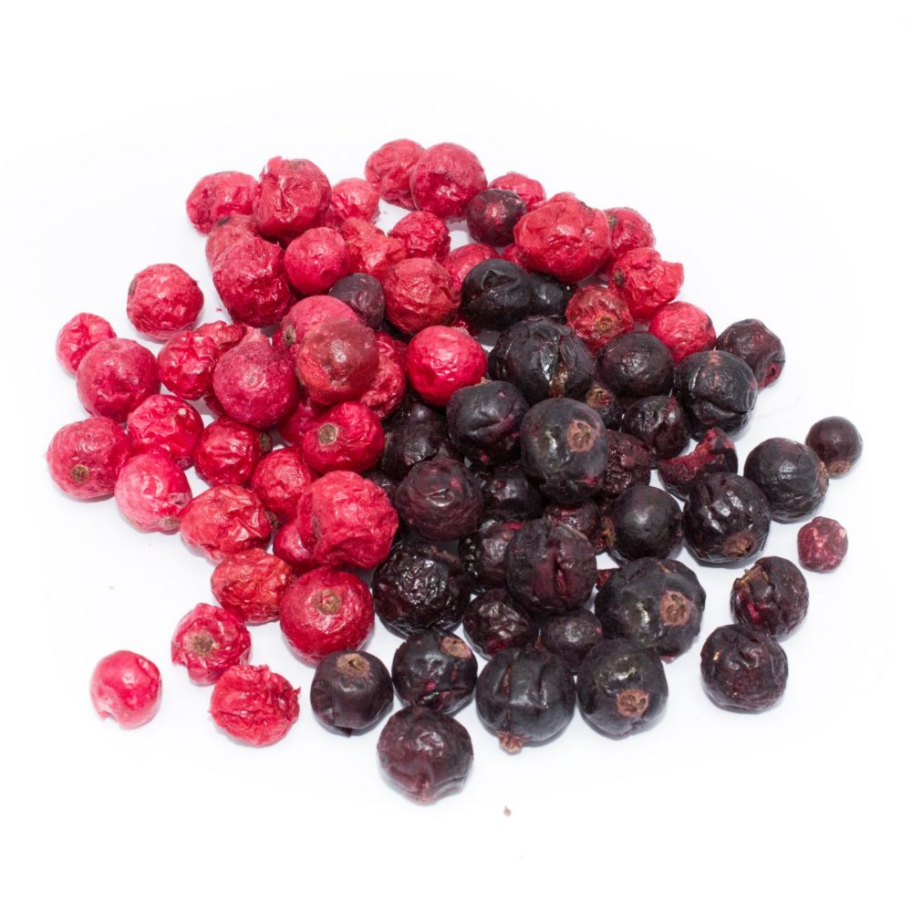 Lyo mix rybíz 45g - Obrázek 3