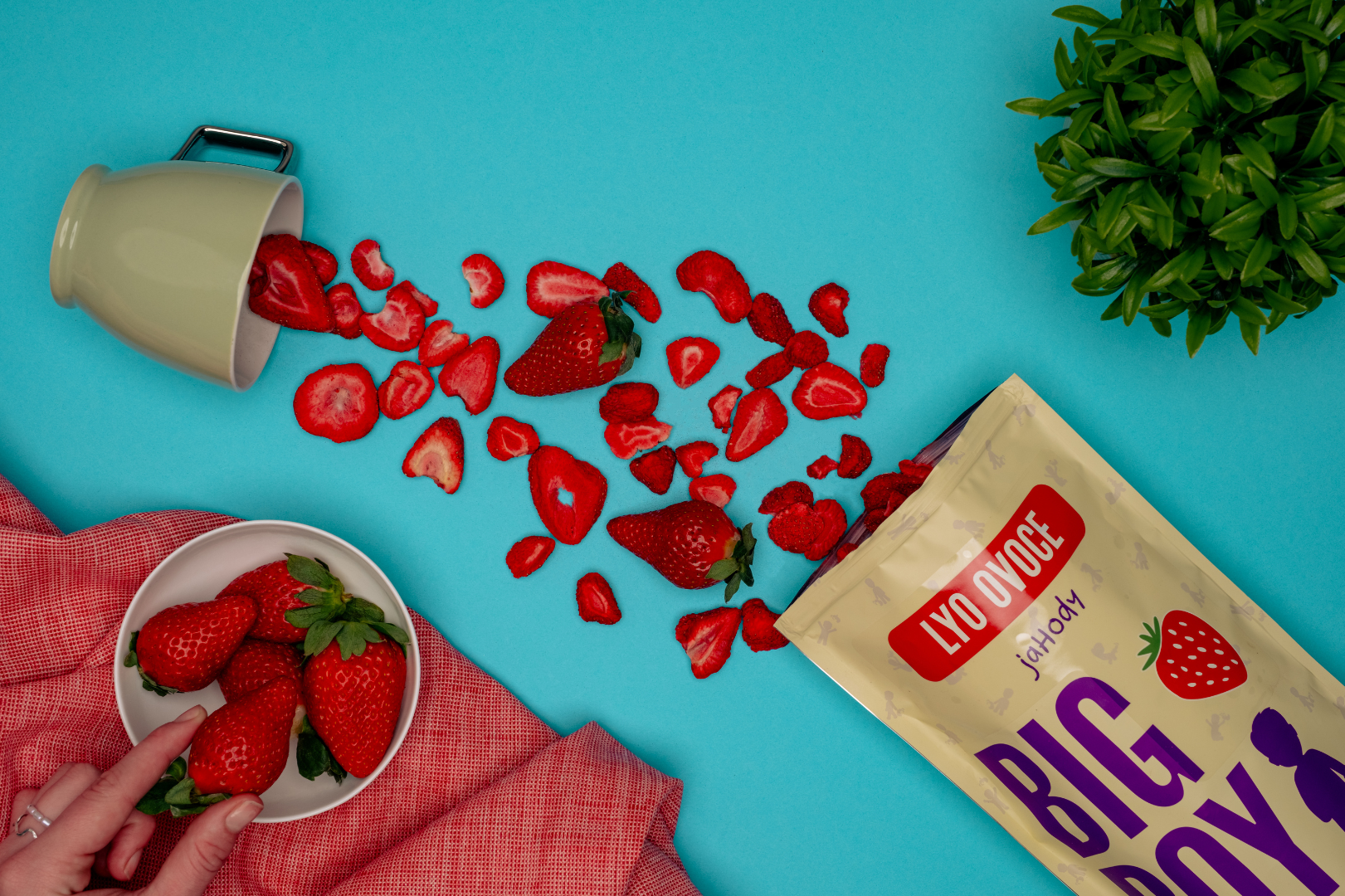 Jahody plátky lyofilizované 100 g - Obrázek 2