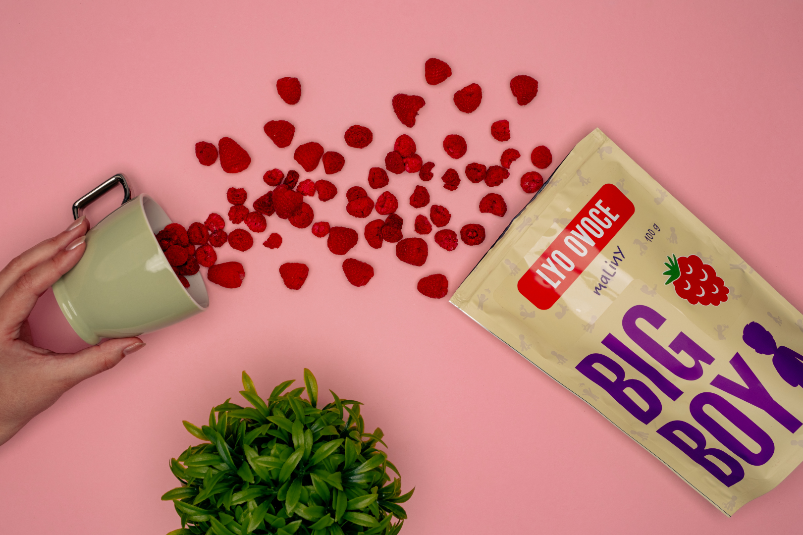 Maliny celé lyofilizované 100g - Obrázek 2